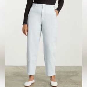 Everlane Utility Barrel Pant